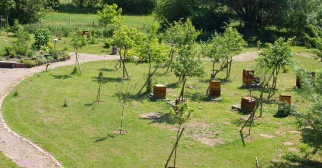Landhotel Zum Honigdieb Ribnitz-Damgarten Esterno foto