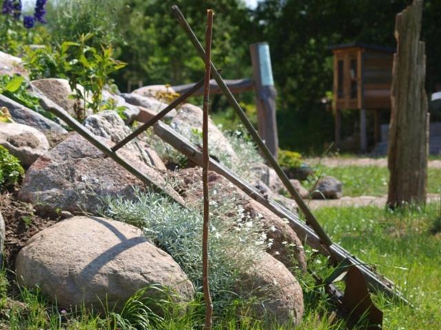 Landhotel Zum Honigdieb Ribnitz-Damgarten Esterno foto